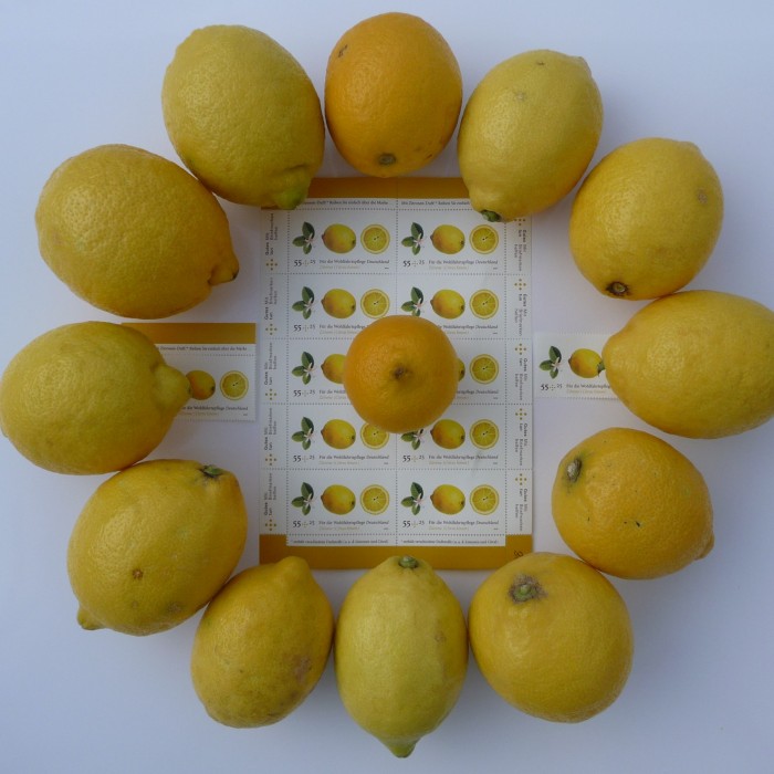 13 Lemons 12 Lemon Stamps
